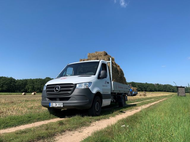 Dreiseitenkipper zur Miete in Dresden