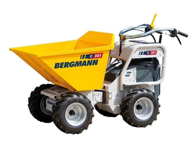 Bergmann C301e