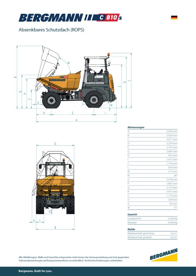 Bergmann C810s